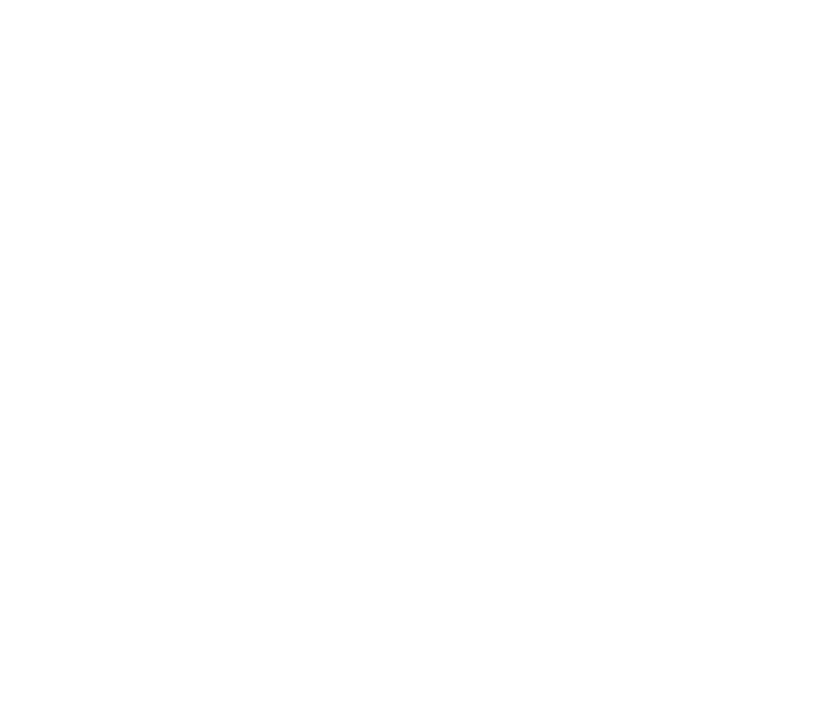 Support Icon